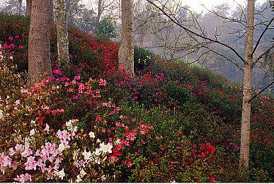 像素风恋爱互动游戏《S4U: 都市朋克2011与爱的重拳》现已推出试玩Demo